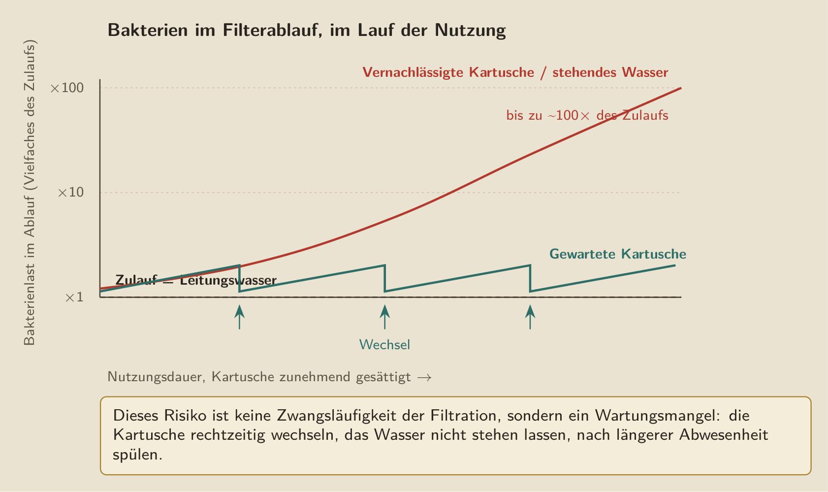 Das einzige Risiko, das ein Filter wirklich hinzufügt: eine vernachlässigte oder stehen gelassene Kartusche sieht ihre Bakterienlast bis auf das Hundertfache der des einströmenden Wassers steigen, während eine rechtzeitig gewechselte Kartusche auf Höhe des Wasserhahns bleibt.