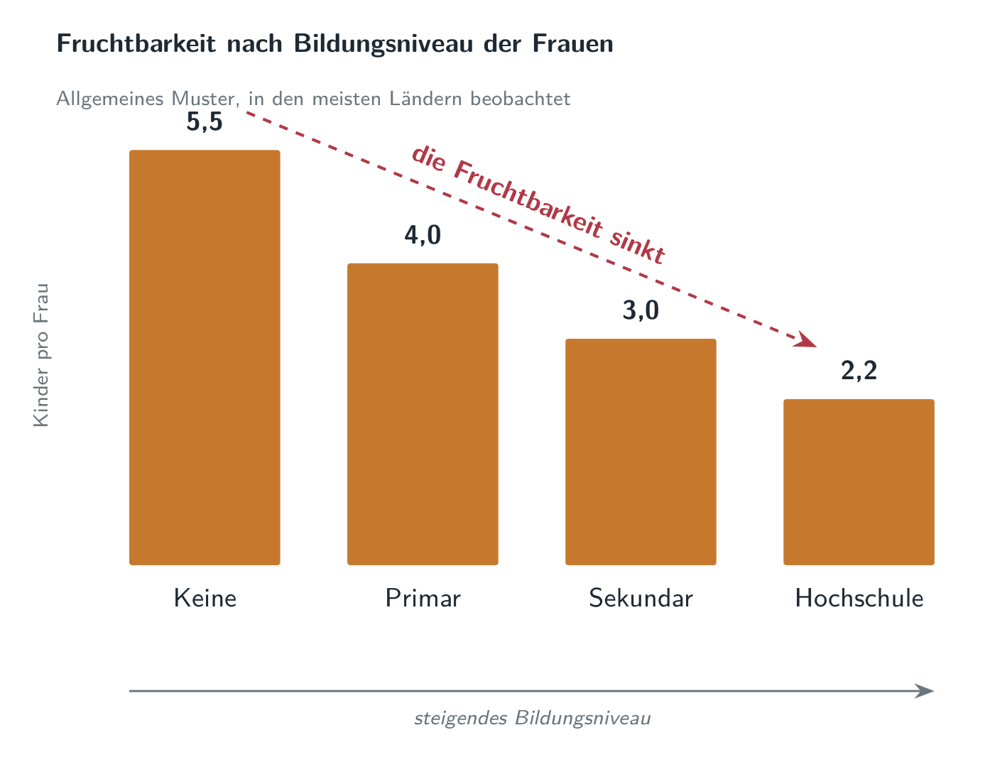 Der Zusammenhang zwischen Bildung und Fruchtbarkeit: mit steigender Bildung der Frauen geht die Fruchtbarkeit zurück, eine Regelmäßigkeit, die sich in den meisten Ländern findet.
