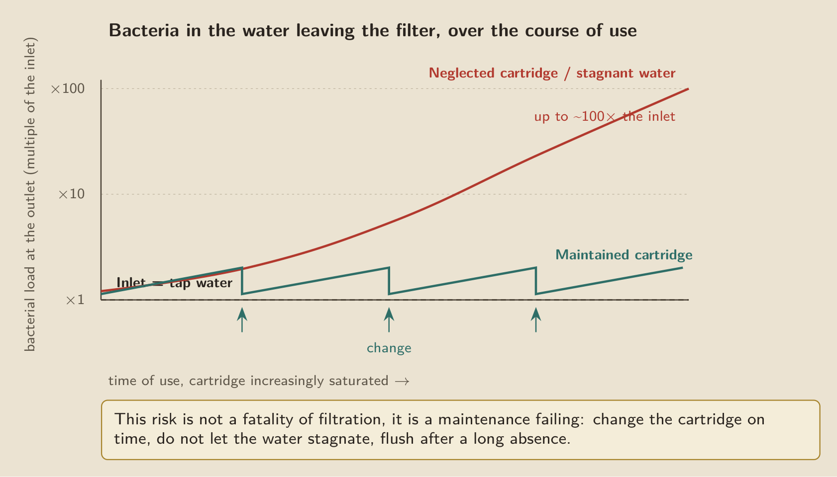The only risk a filter really adds: a neglected cartridge, or one left to stagnate, sees its bacterial load climb up to a hundred times that of the incoming water, whereas a cartridge changed on time stays level with the tap.