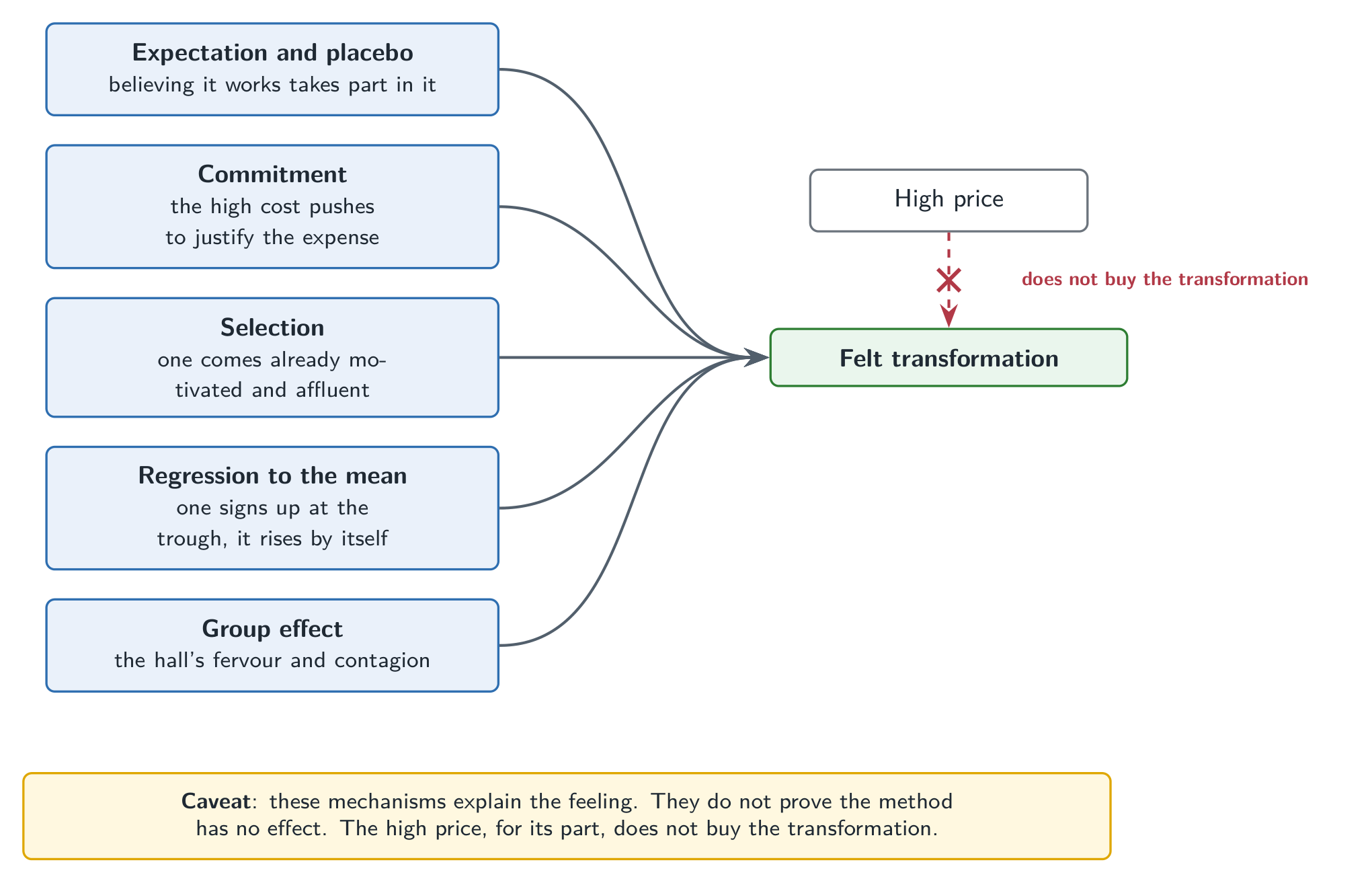 Several drivers of the felt transformation after a premium seminar: expectation and placebo, commitment, selection, regression to the mean, group effect. They converge on the effect; the high price is not its cause.