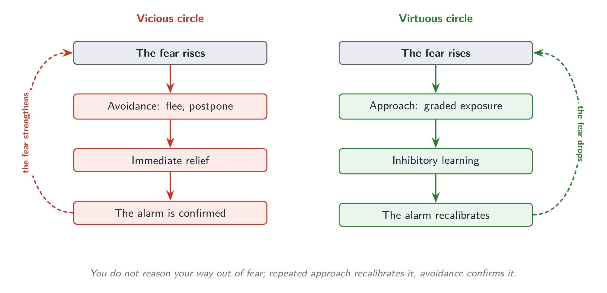 Two responses to the same fear: avoidance relieves for a moment then strengthens the alarm, repeated approach recalibrates it.