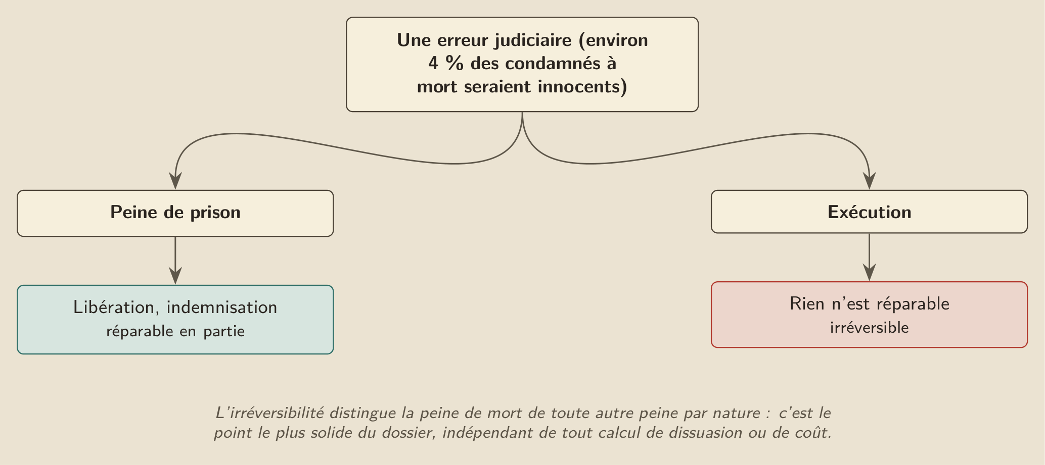 L’asymétrie de l’erreur : une condamnation à tort se répare en partie tant qu’il reste une vie à libérer et à indemniser ; une exécution, non. C’est le point le plus solide du dossier.