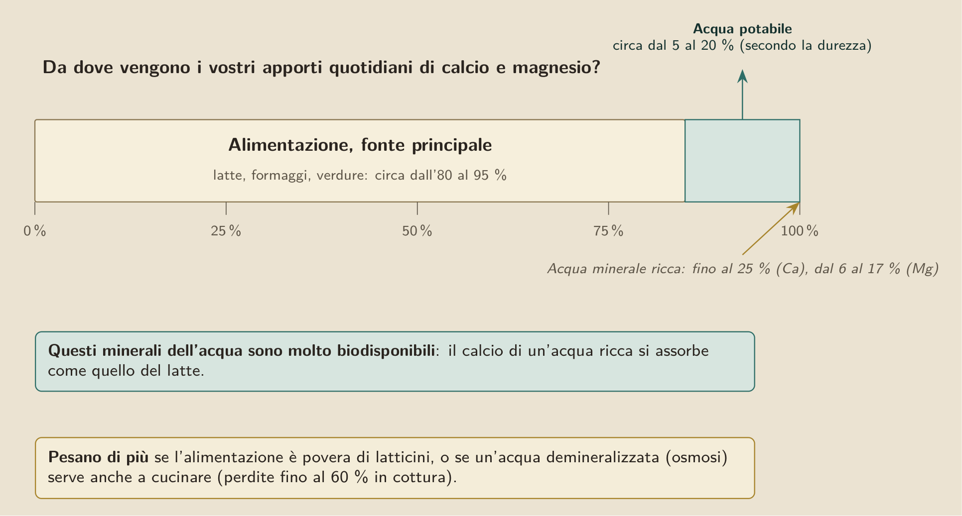 La scala degli apporti di calcio e magnesio: l’alimentazione ne fornisce l’essenziale, circa dall’80 al 95 %, e l’acqua potabile un complemento, circa dal 5 al 20 % secondo la durezza, di più per un’acqua minerale ricca. La parte che viene dall’acqua è reale ma minoritaria.