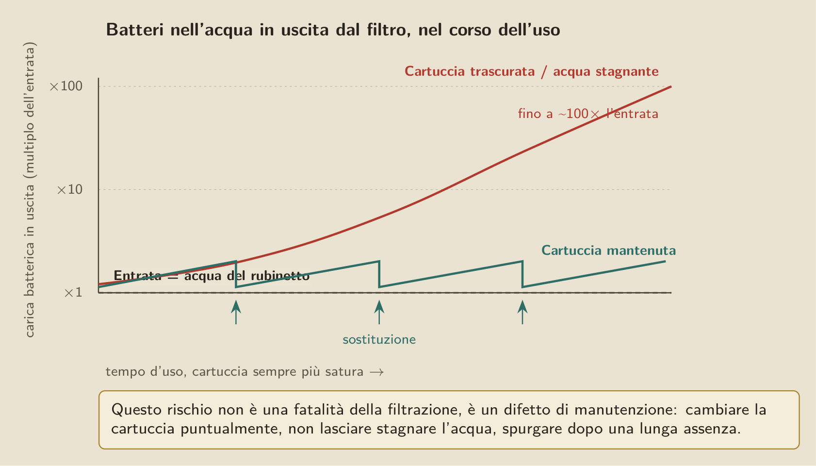 Il solo rischio che un filtro aggiunge davvero: una cartuccia trascurata o lasciata stagnare vede la sua carica batterica salire fino a un centinaio di volte quella dell’acqua in entrata, mentre una cartuccia cambiata puntualmente resta al livello del rubinetto.
