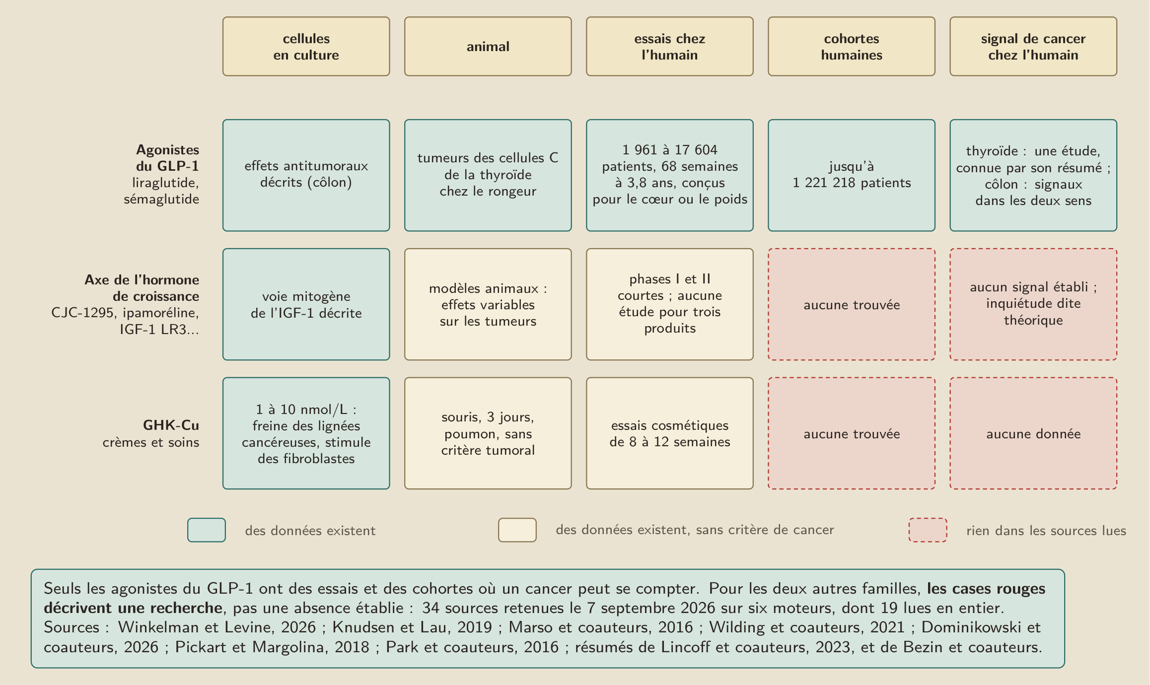 Ce qui existe pour chaque famille de peptides, du laboratoire à l’humain (Marso, Daniels, et al. 2016; Wilding et al. 2021; Lincoff et al. 2023; Winkelman et Levine 2026; Dominikowski et al. 2026; Renke et Chinellato 2026). Des trois familles examinées, seuls les agonistes du GLP-1 ont des essais et des cohortes où un cancer peut se compter (Marso, Daniels, et al. 2016; Wilding et al. 2021; Lincoff et al. 2023; Winkelman et Levine 2026; Dominikowski et al. 2026; Renke et Chinellato 2026). Pour les deux autres familles, la colonne des cohortes est vide dans les sources lues, ce qui décrit une recherche et non une absence établie.