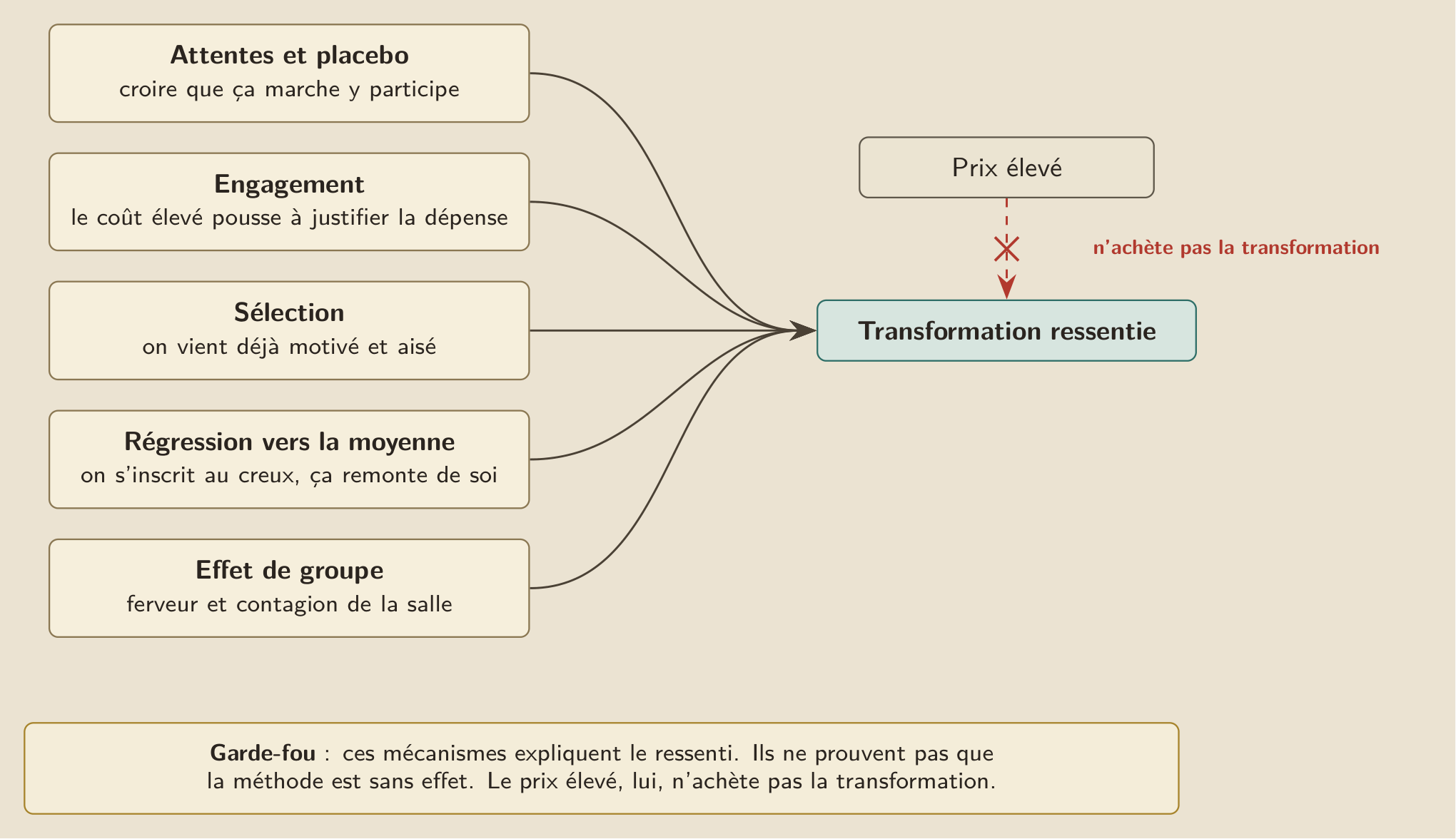 Plusieurs moteurs de la transformation ressentie après un séminaire premium : attentes et placebo, engagement, sélection, régression vers la moyenne, effet de groupe. Ils convergent vers l’effet ; le prix élevé n’en est pas la cause.