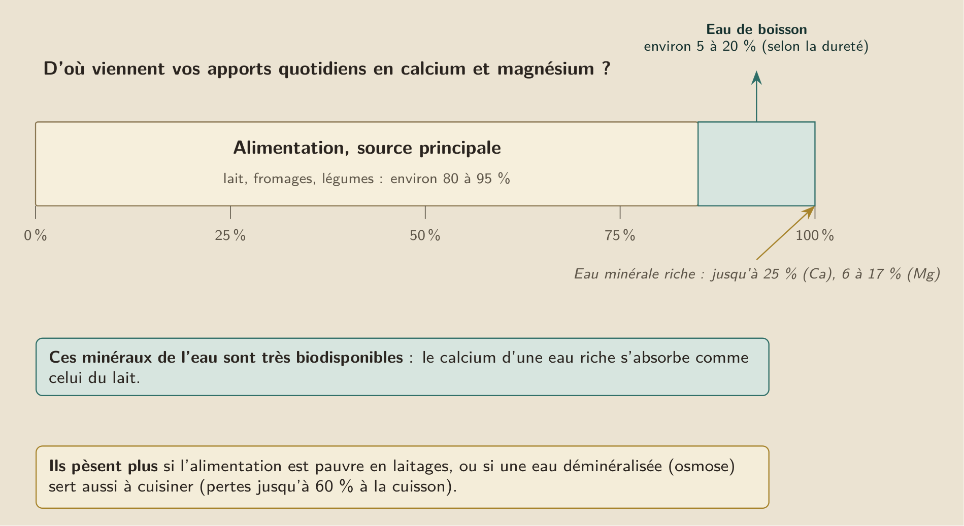 L’échelle des apports en calcium et magnésium : l’alimentation en fournit l’essentiel, environ 80 à 95 %, et l’eau de boisson un complément, environ 5 à 20 % selon la dureté, davantage pour une eau minérale riche. La part venue de l’eau est réelle mais minoritaire.