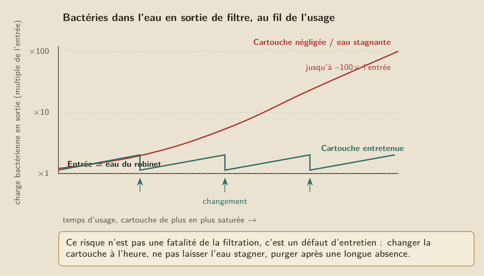 Le seul risque qu’un filtre ajoute vraiment : une cartouche négligée ou laissée stagner voit sa charge bactérienne grimper jusqu’à une centaine de fois celle de l’eau entrante, tandis qu’une cartouche changée à l’heure reste au ras du robinet.